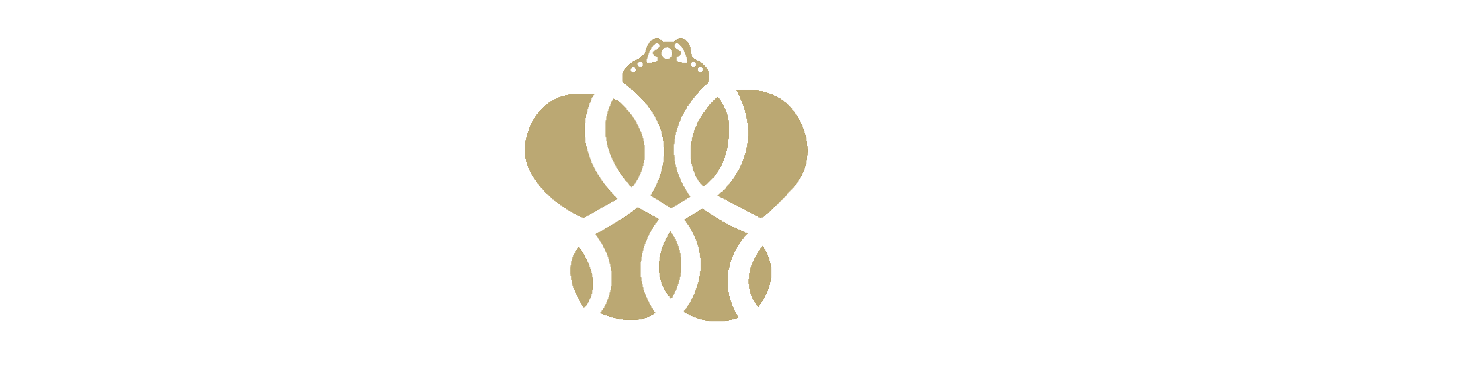 Kapico Travels & Tours |   Tours
