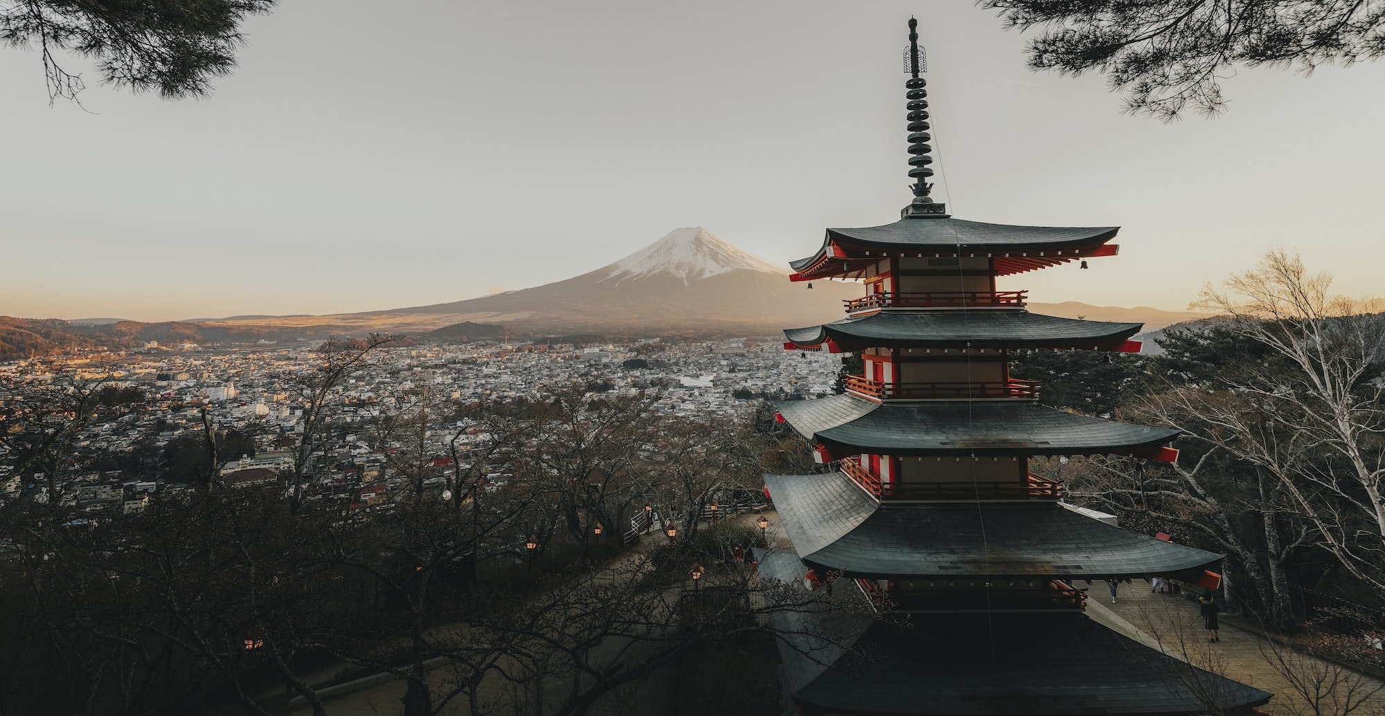 View of Mt. Fuji and Chureito pagoda in Tokyo, Japan